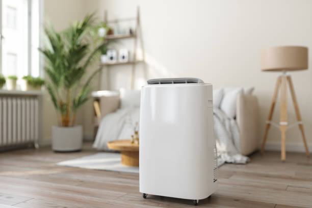 Best Local HVAC companies  in Carrollton, AL
